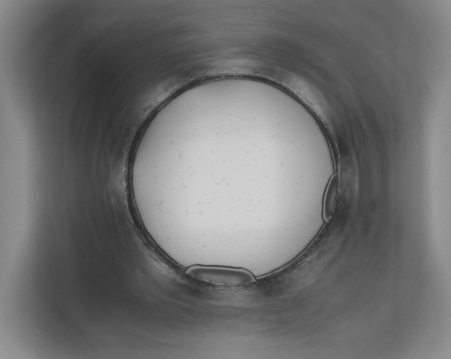 X0000111490389200908041146