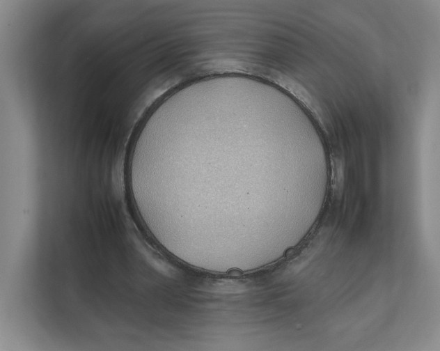 X0000111490390200908041146