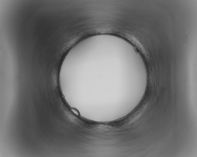 X0000111490393200908041146