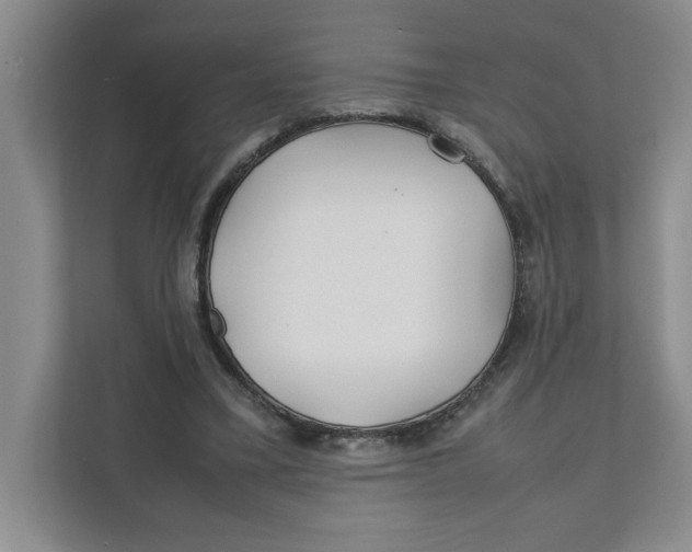X0000111490395200908041146