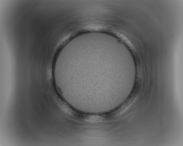 X0000111490399200908041146