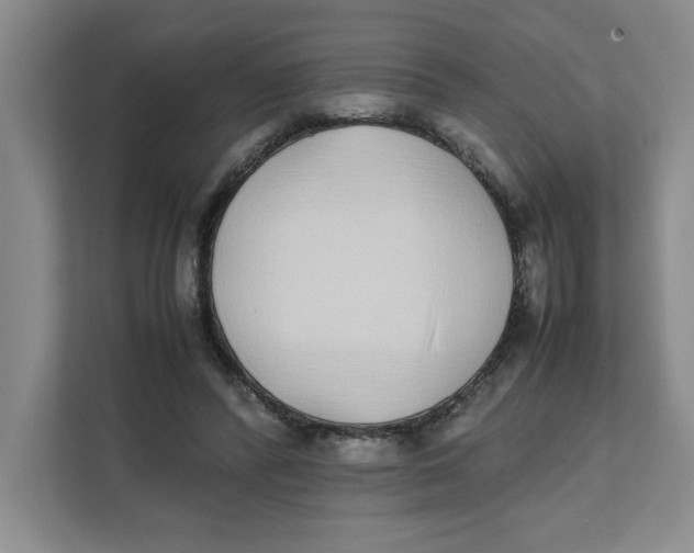 X0000111490400200908041146