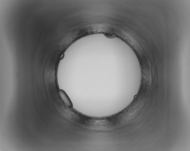 X0000111490401200908041146
