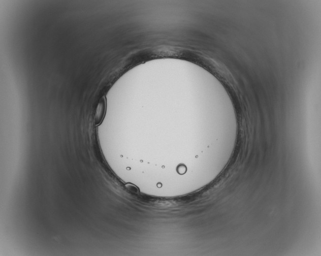 X0000111490409200908041146