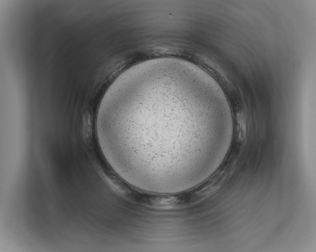 X0000111490410200908041146