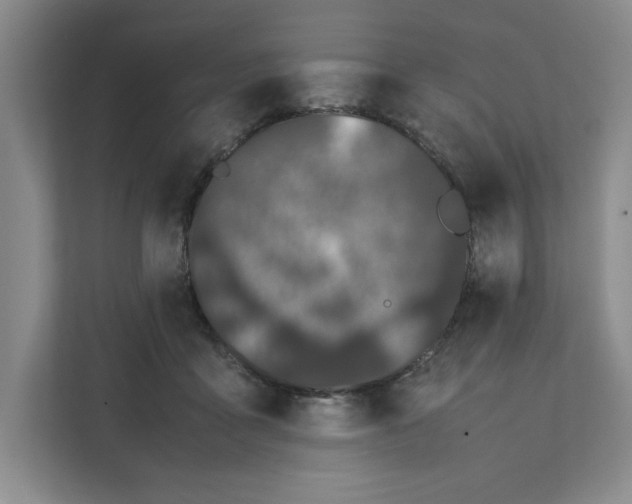 X0000111490411200908041146