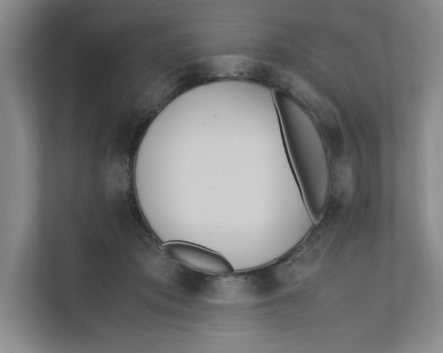 X0000111490413200908041146
