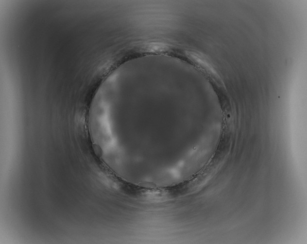 X0000111490415200908041146