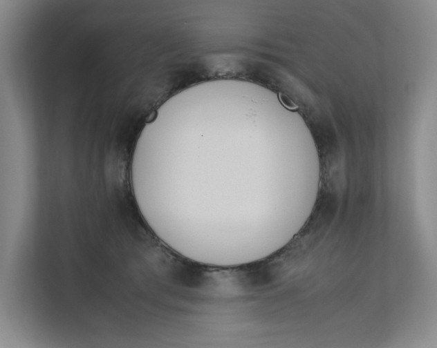 X0000111490417200908041146