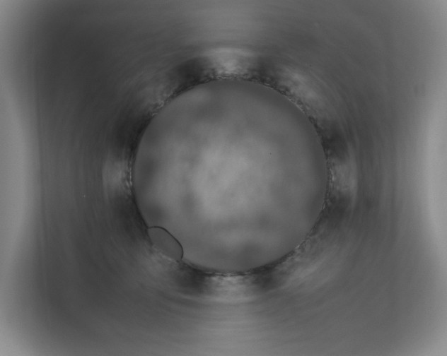 X0000111490419200908041146