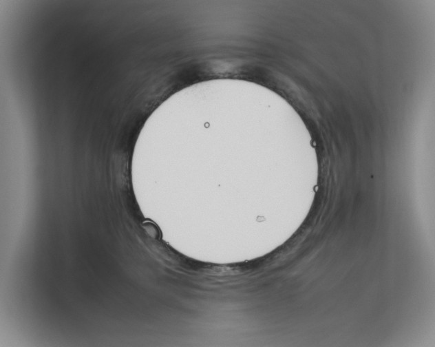 X0000111490421200908041146