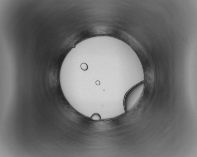 X0000111490422200908041146