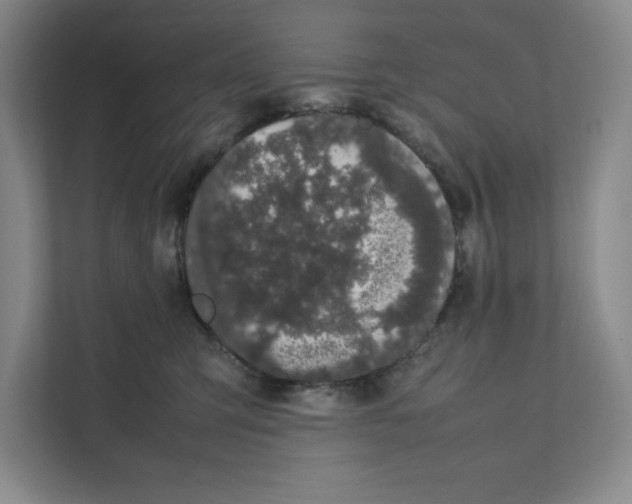 X0000111490423200908041146