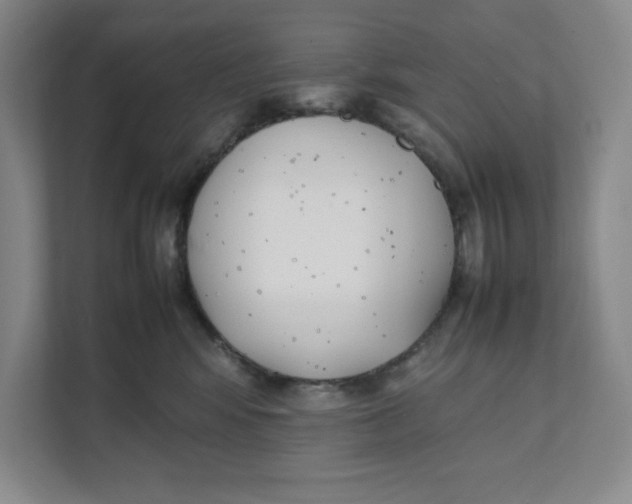 X0000111490424200908041146