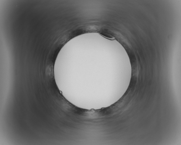 X0000111490425200908041146