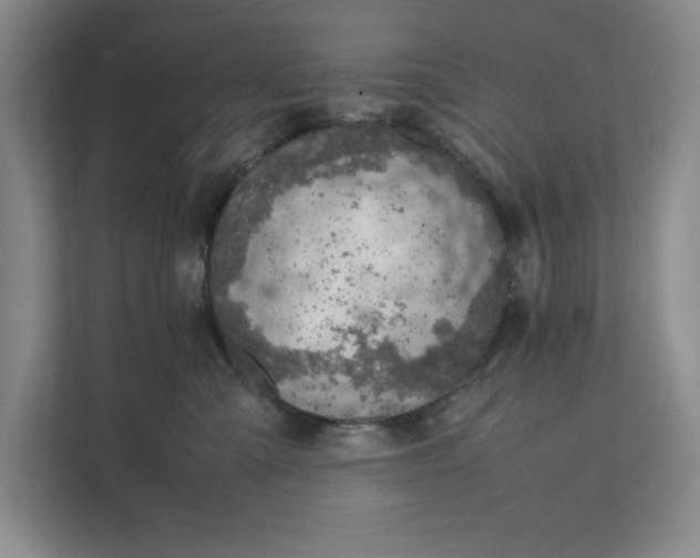 X0000111490427200908041146