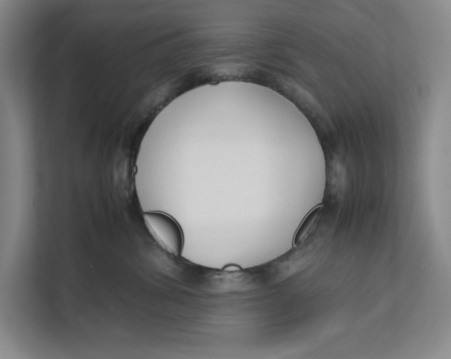 X0000111490428200908041146