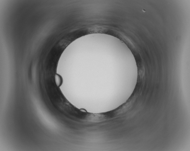 X0000111490429200908041146