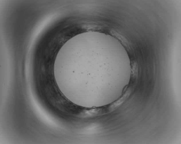 X0000111490430200908041146