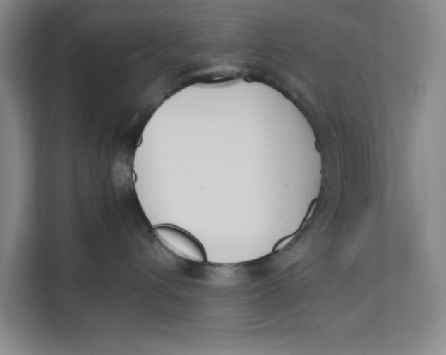 X0000111490432200908041146