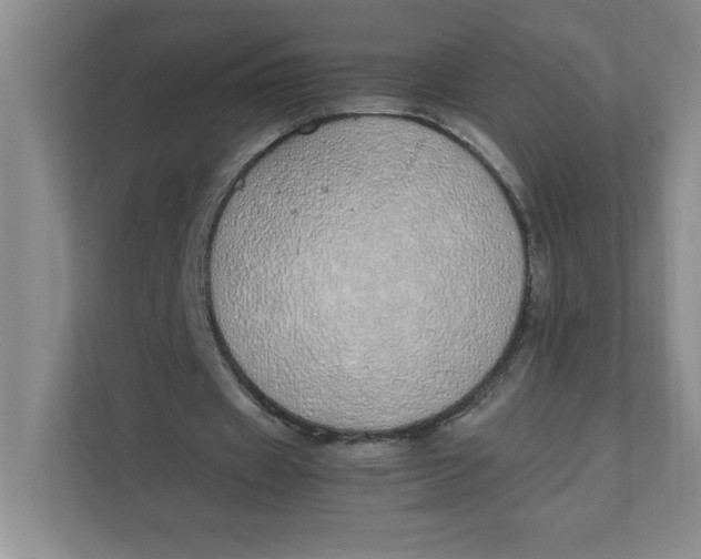 X0000111490433200908041145