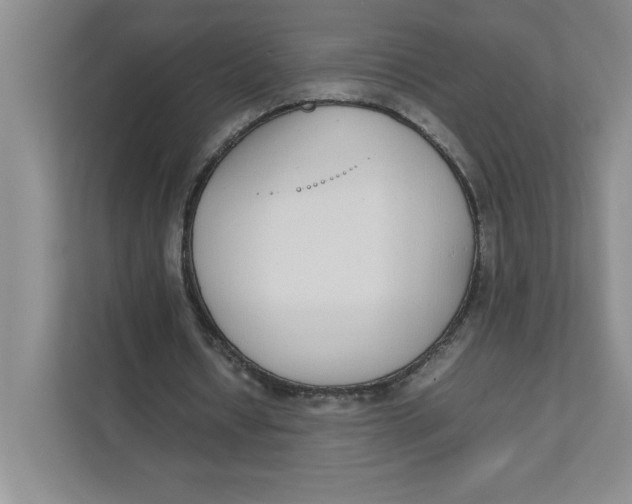 X0000111490434200908041145
