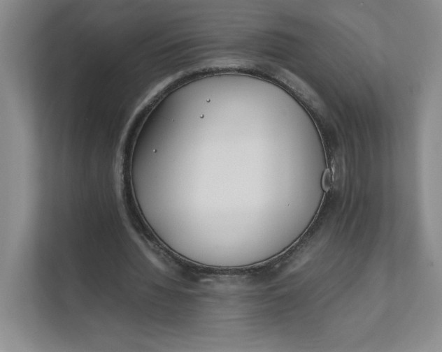 X0000111490436200908041145