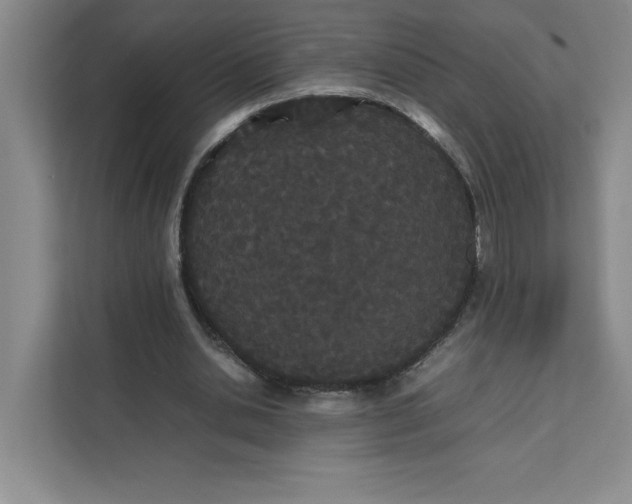 X0000111490438200908041145