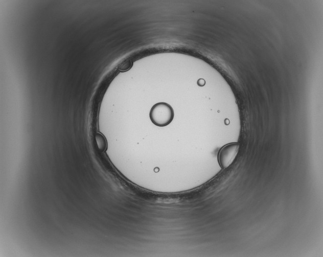 X0000111490440200908041145