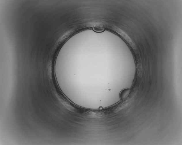X0000111490442200908041145