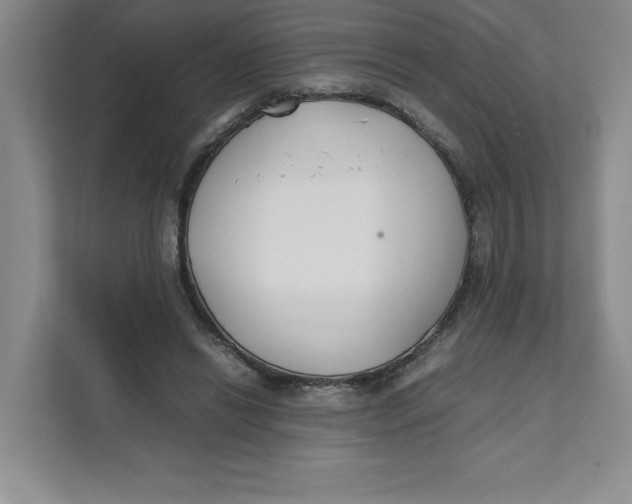 X0000111490446200908041145
