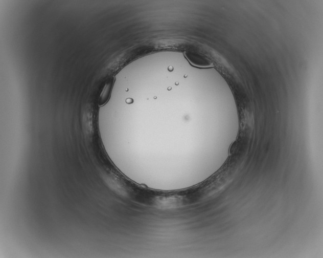 X0000111490452200908041145