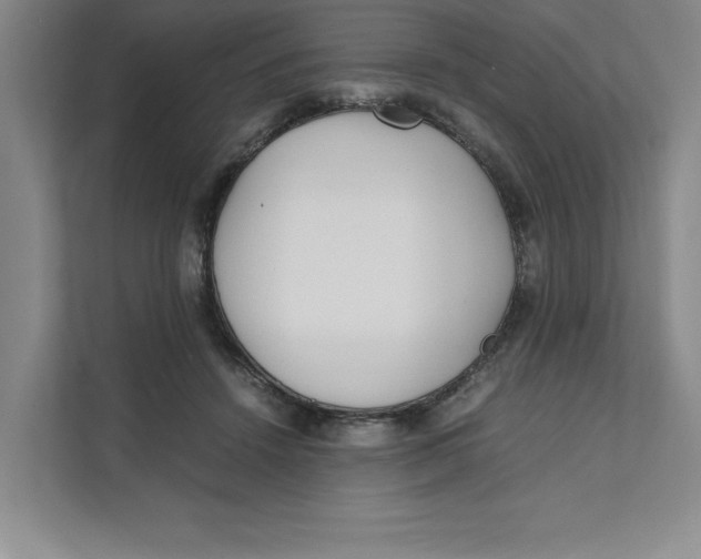 X0000111490456200908041145