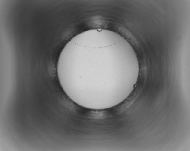 X0000111490469200908041146