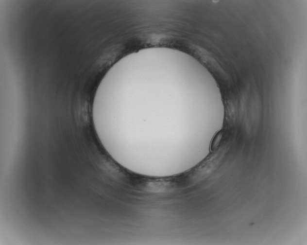 X0000111490470200908041146