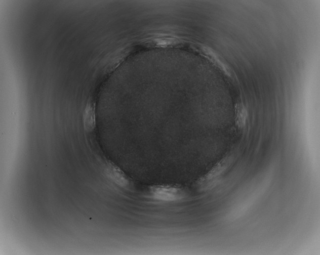 X0000111490471200908041146