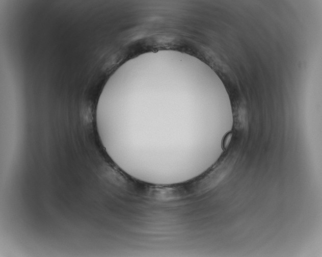 X0000111490472200908041146