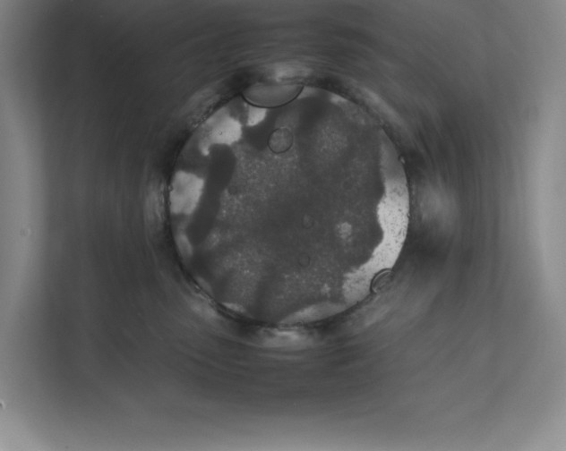 X0000111490475200908041146