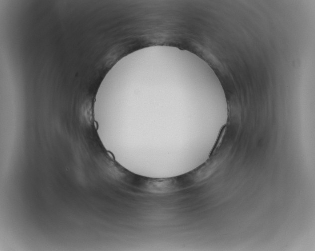 X0000111490479200908041146