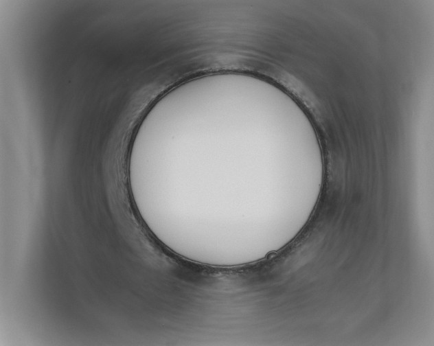 X0000111490481200908041145