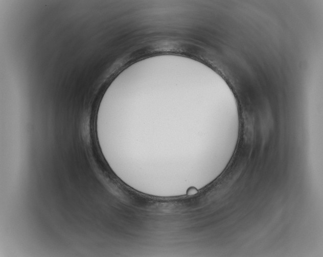 X0000111490482200908041145