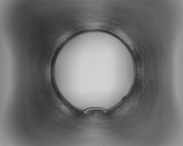 X0000111490485200908041145