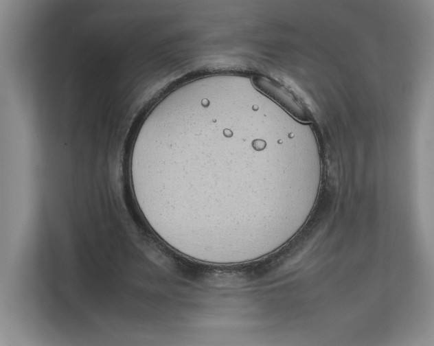 X0000111490487200908041145