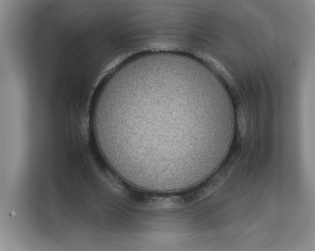 X0000111490488200908041145