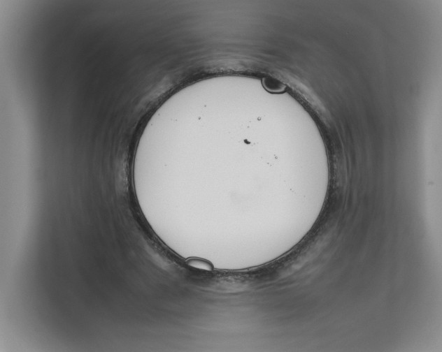X0000111490489200908041145