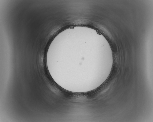 X0000111490491200908041145