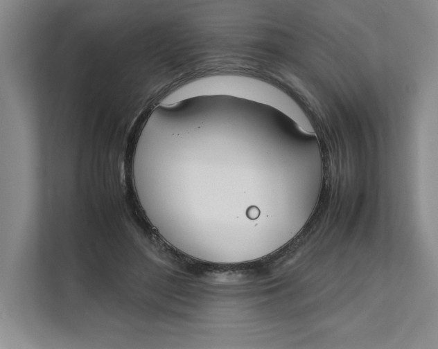 X0000111490500200908041145