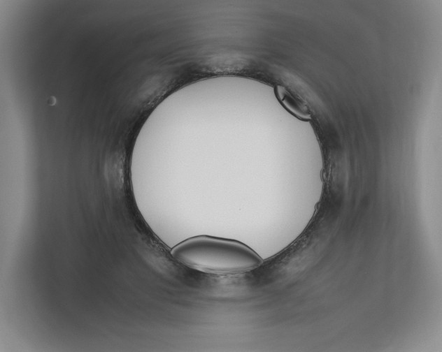 X0000111490501200908041145