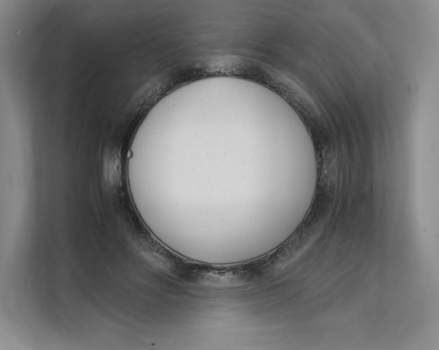 X0000111490502200908041145