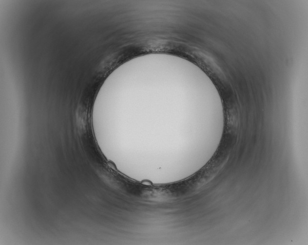 X0000111490503200908041145